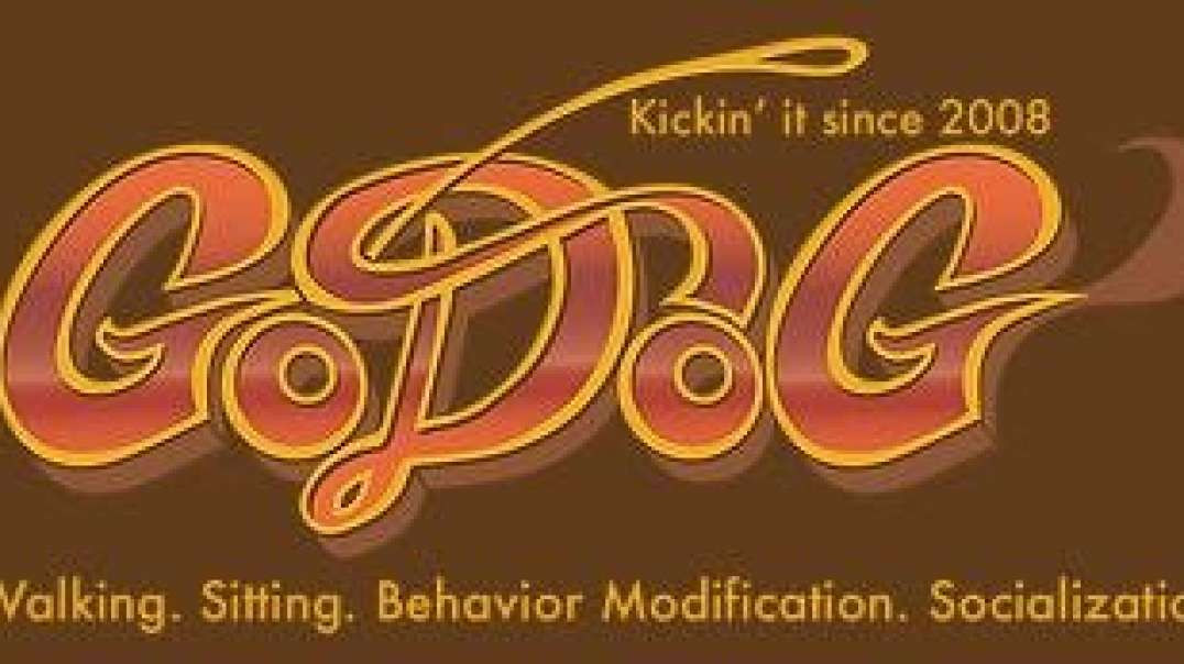 GoDog : Behavior Modification Trainers in Brooklyn, NY