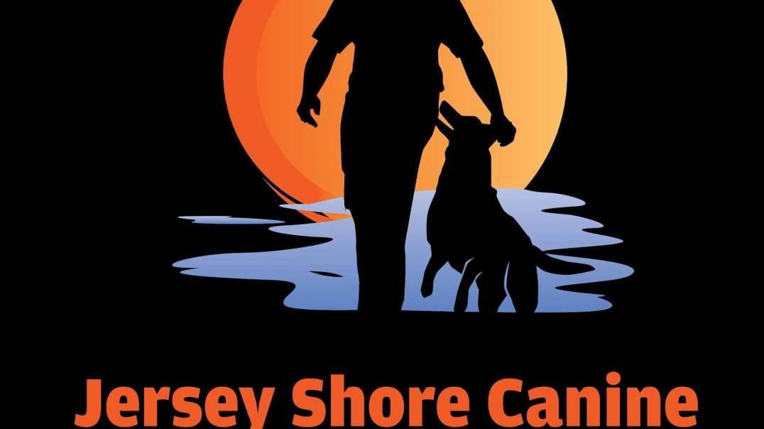 Jersey Shore Canine, LLC. - Puppy Training Classes in Jersey Shore, NJ