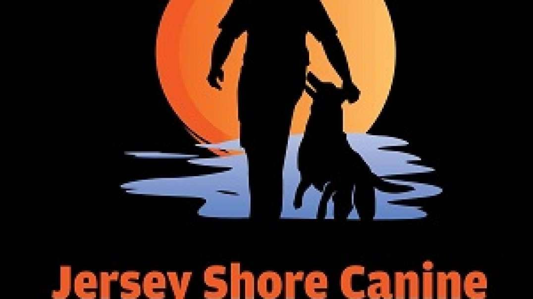 Jersey Shore Canine, LLC. - Dog Protection Training in Jersey Shore, NJ